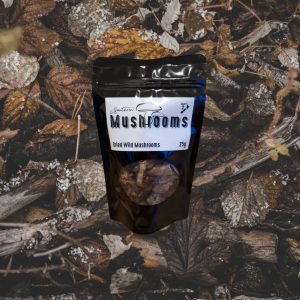 Dried Wild Mushrooms 25g